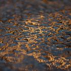 Wasserspiegelung auf Biertisch, Cannstatter Wasen