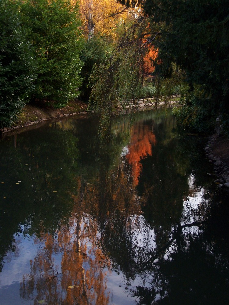 Wasserspiegelung