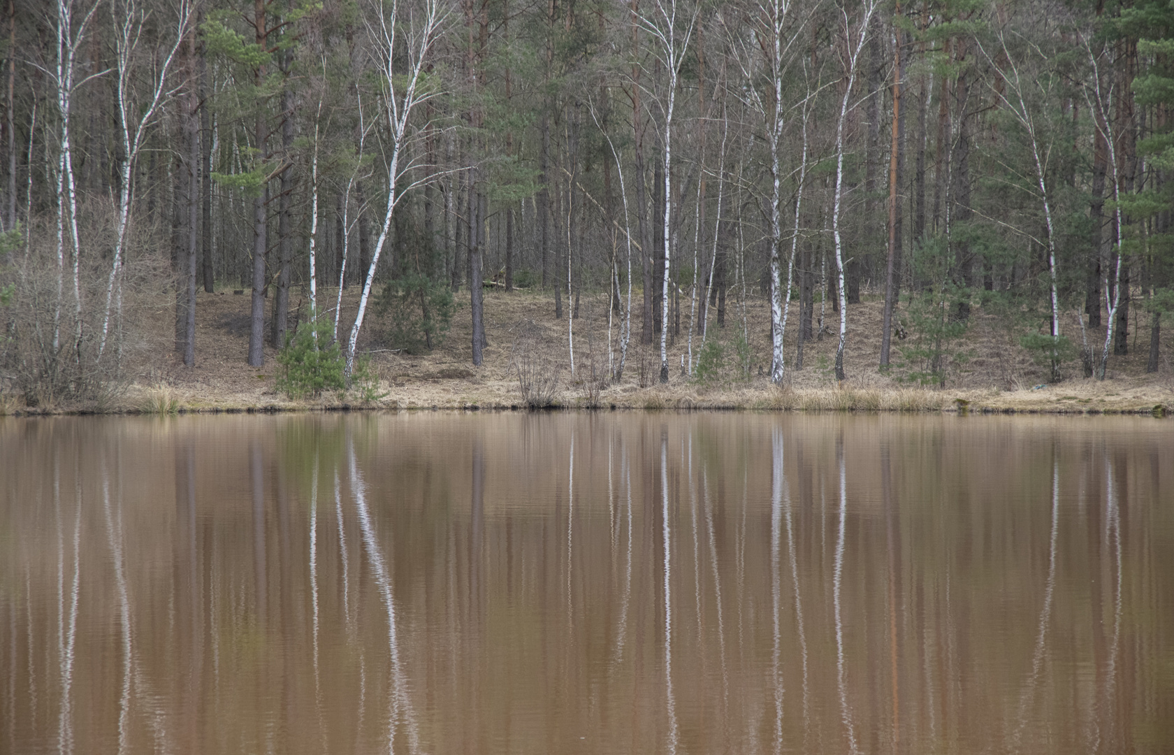 Wasserspiegelung bei Schwindebeck