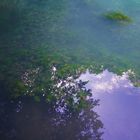 Wasserspiegelung Blautopf