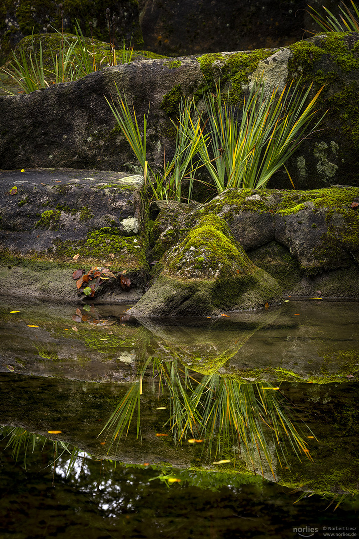 Wasserspiegelung