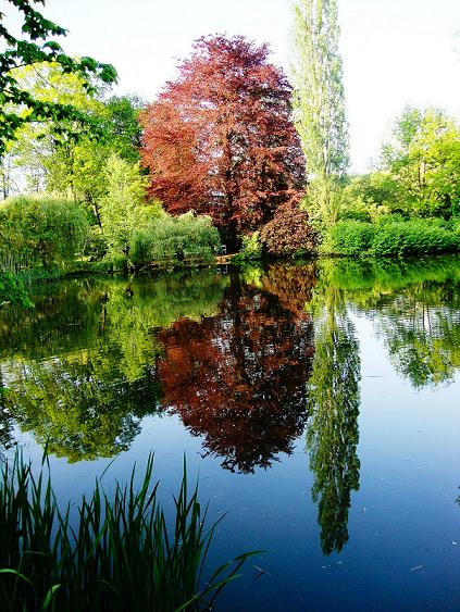 Wasserspiegelung