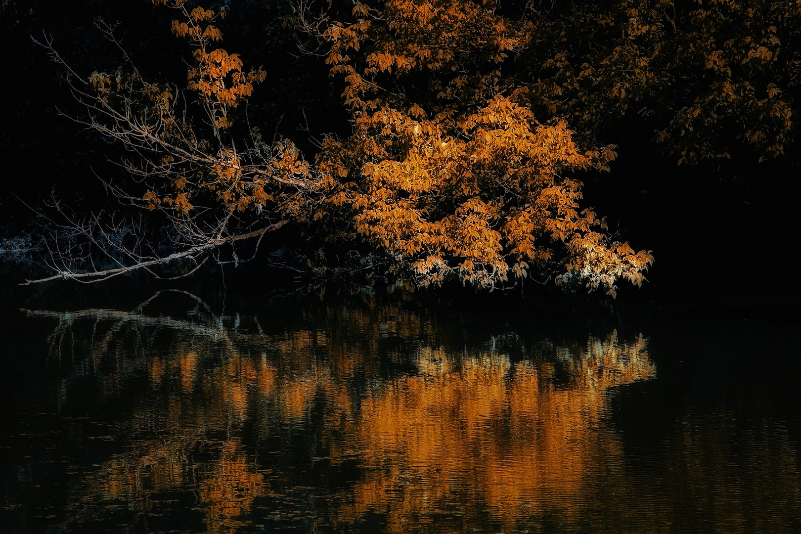 Wasserspiegelung im Abendrot 