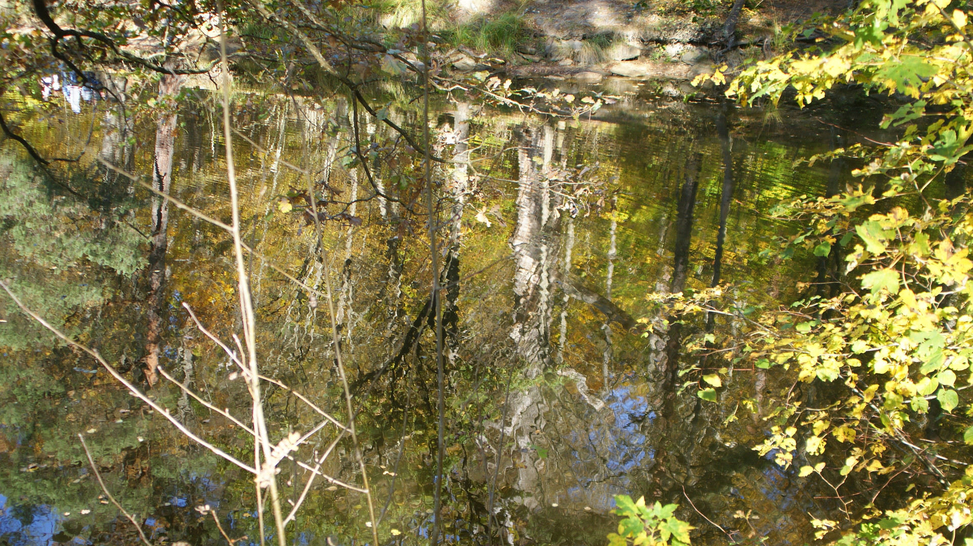 Wasserspiegelung im Bärensee 