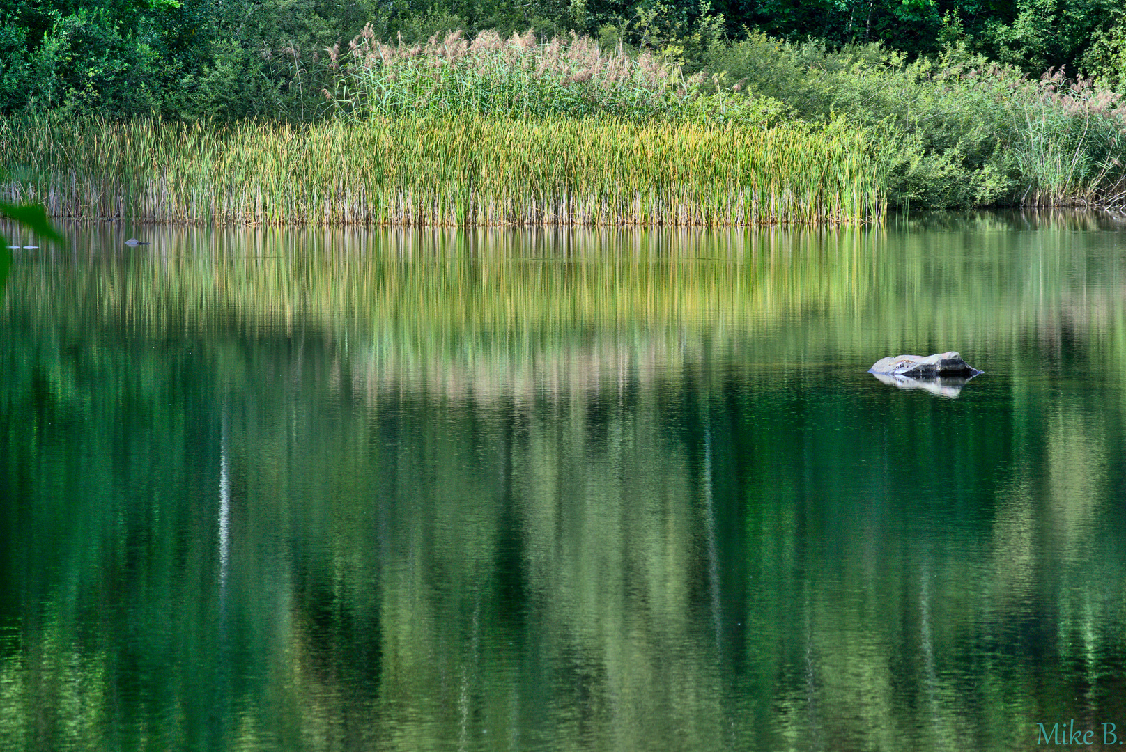 Wasserspiegelung im Basaltparksee