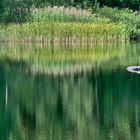 Wasserspiegelung im Basaltparksee