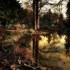 Wasserspiegelung im Botanischen Garten 