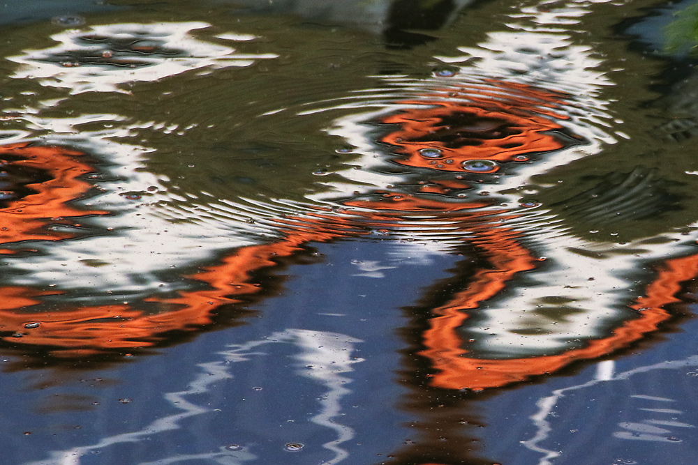 Wasserspiegelung im Hafen