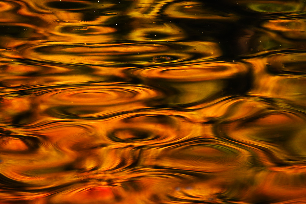 Wasserspiegelung im Herbst