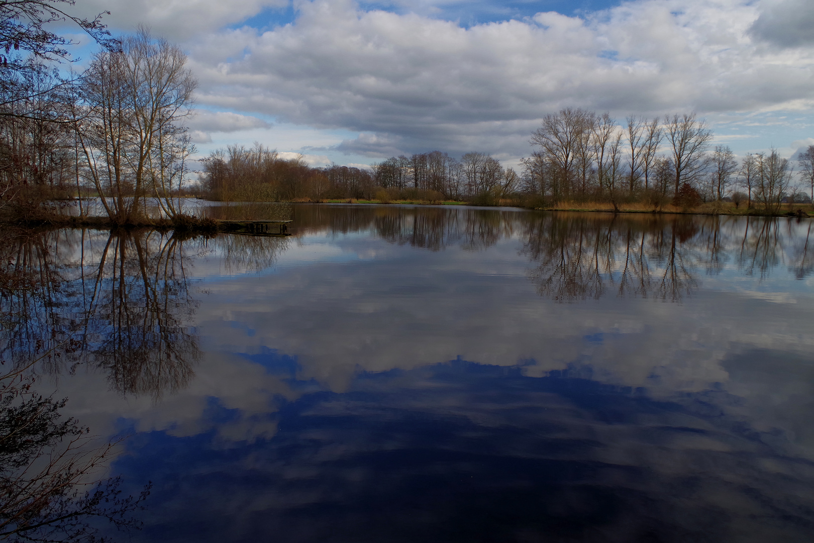 Wasserspiegelung im Moor