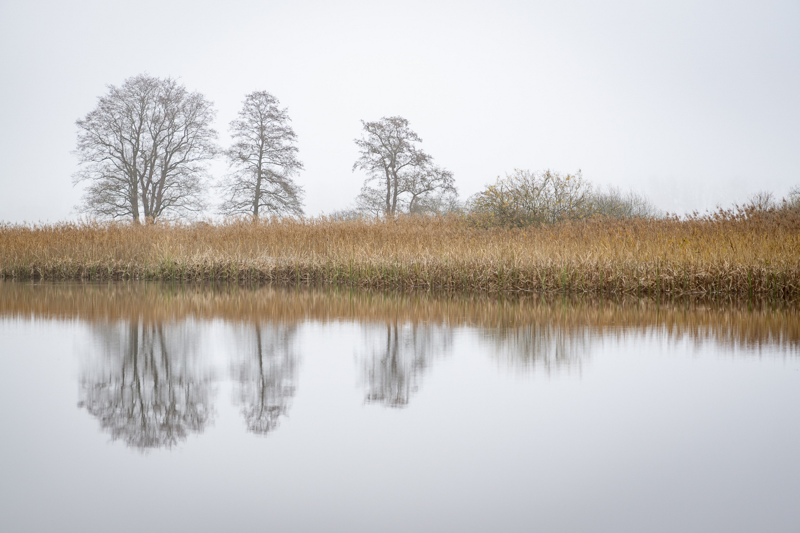 Wasserspiegelung im November