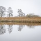 Wasserspiegelung im November