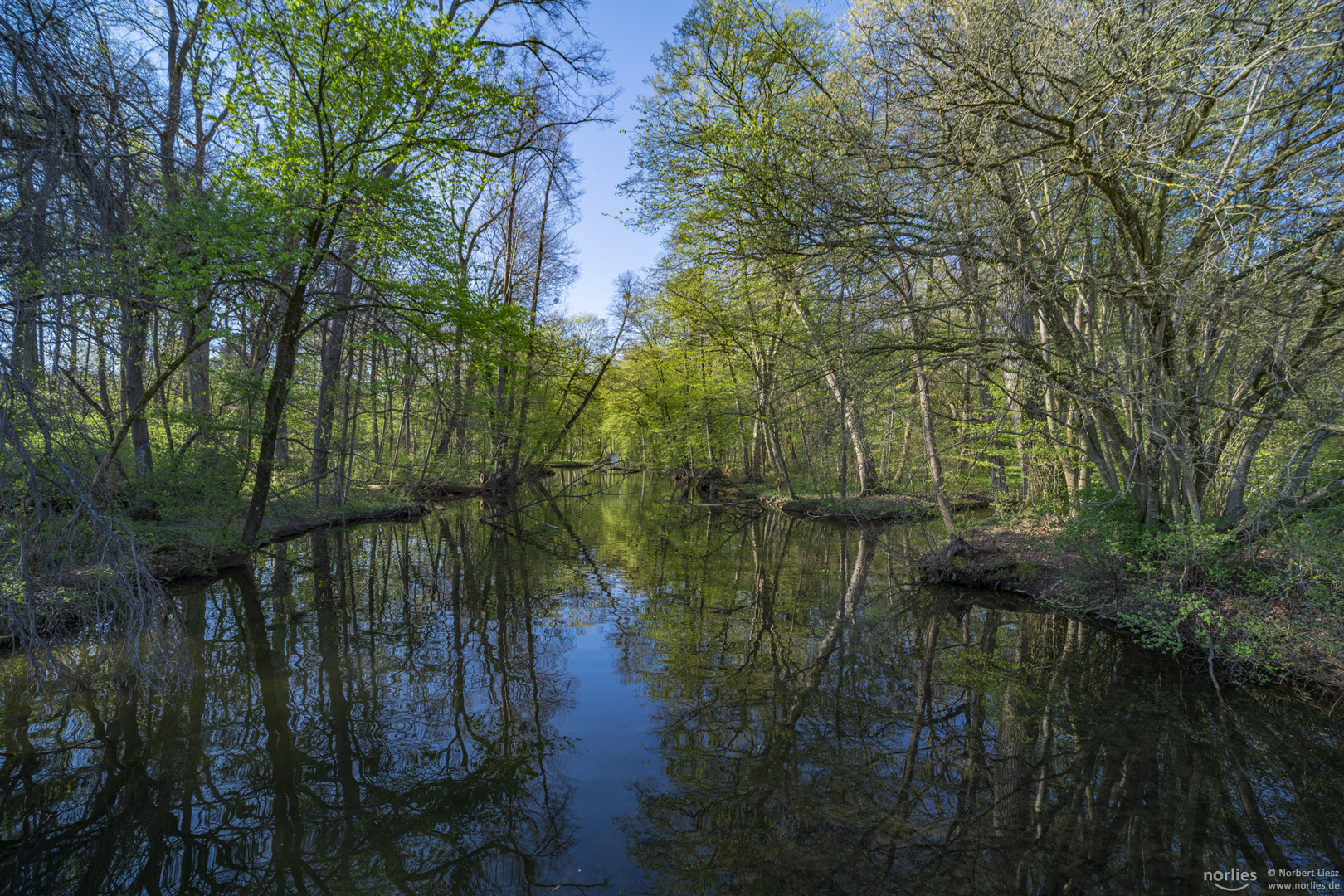 Wasserspiegelung im Nymphenburger Schlosspark