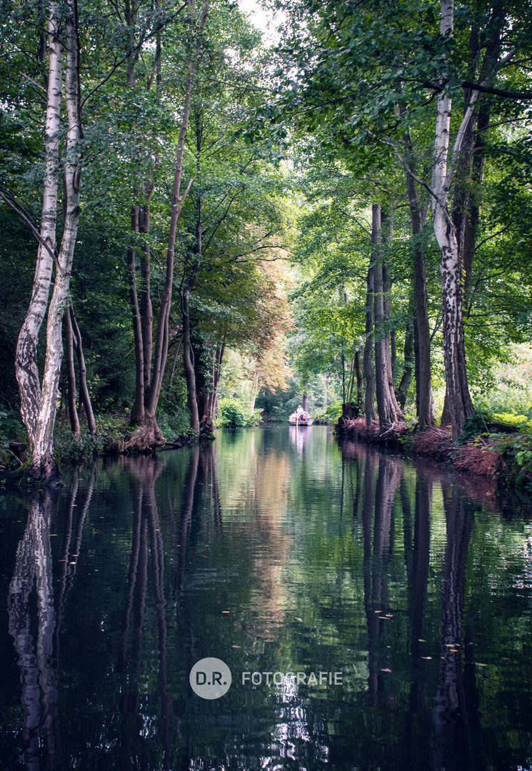 Wasserspiegelung im Spreewald