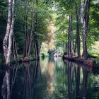 Wasserspiegelung im Spreewald