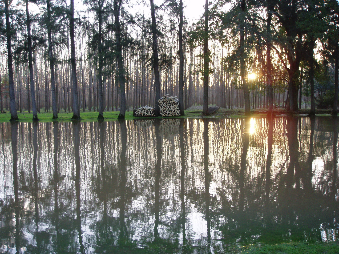 Wasserspiegelung im Tigre Delta