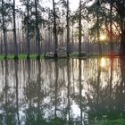 Wasserspiegelung im Tigre Delta