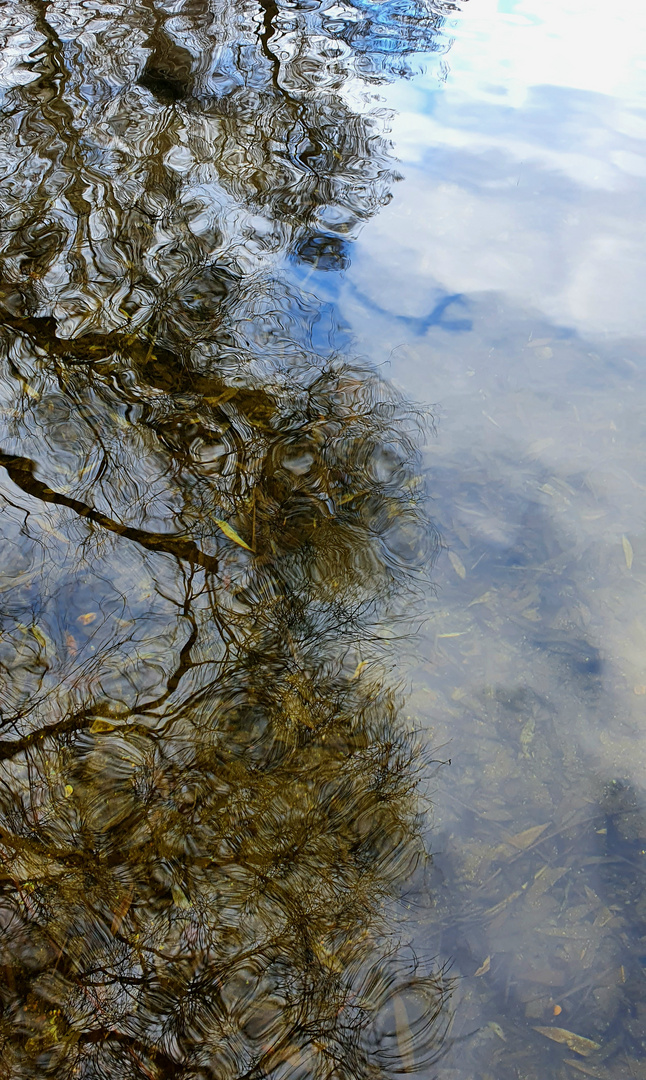 Wasserspiegelung im Winter