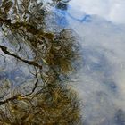 Wasserspiegelung im Winter