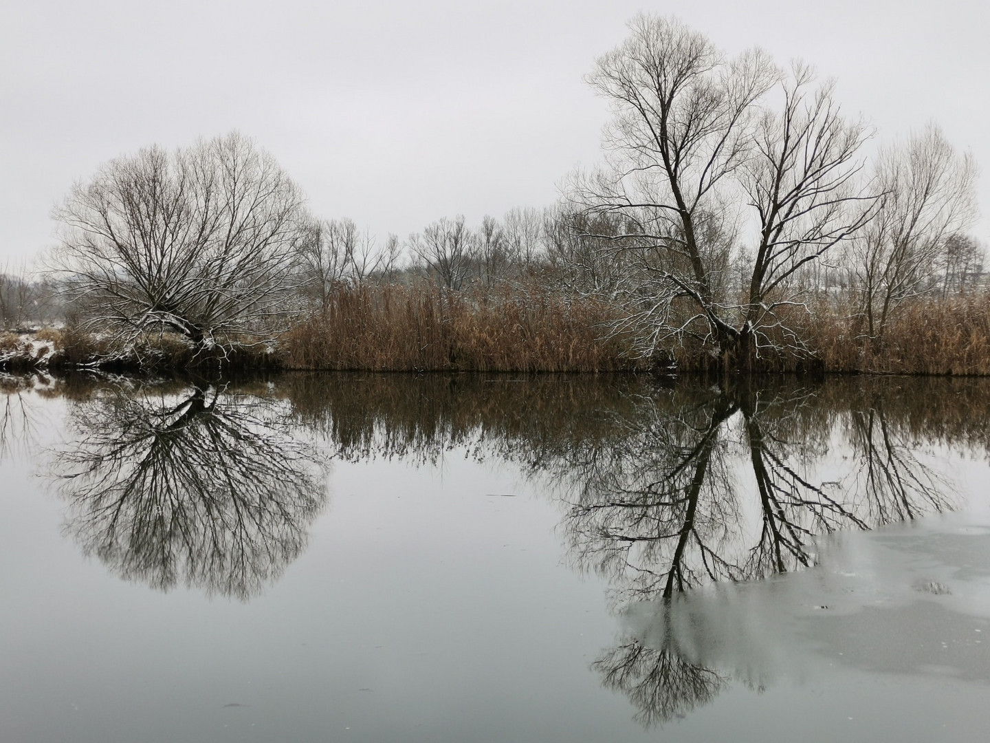 Wasserspiegelung im Winter