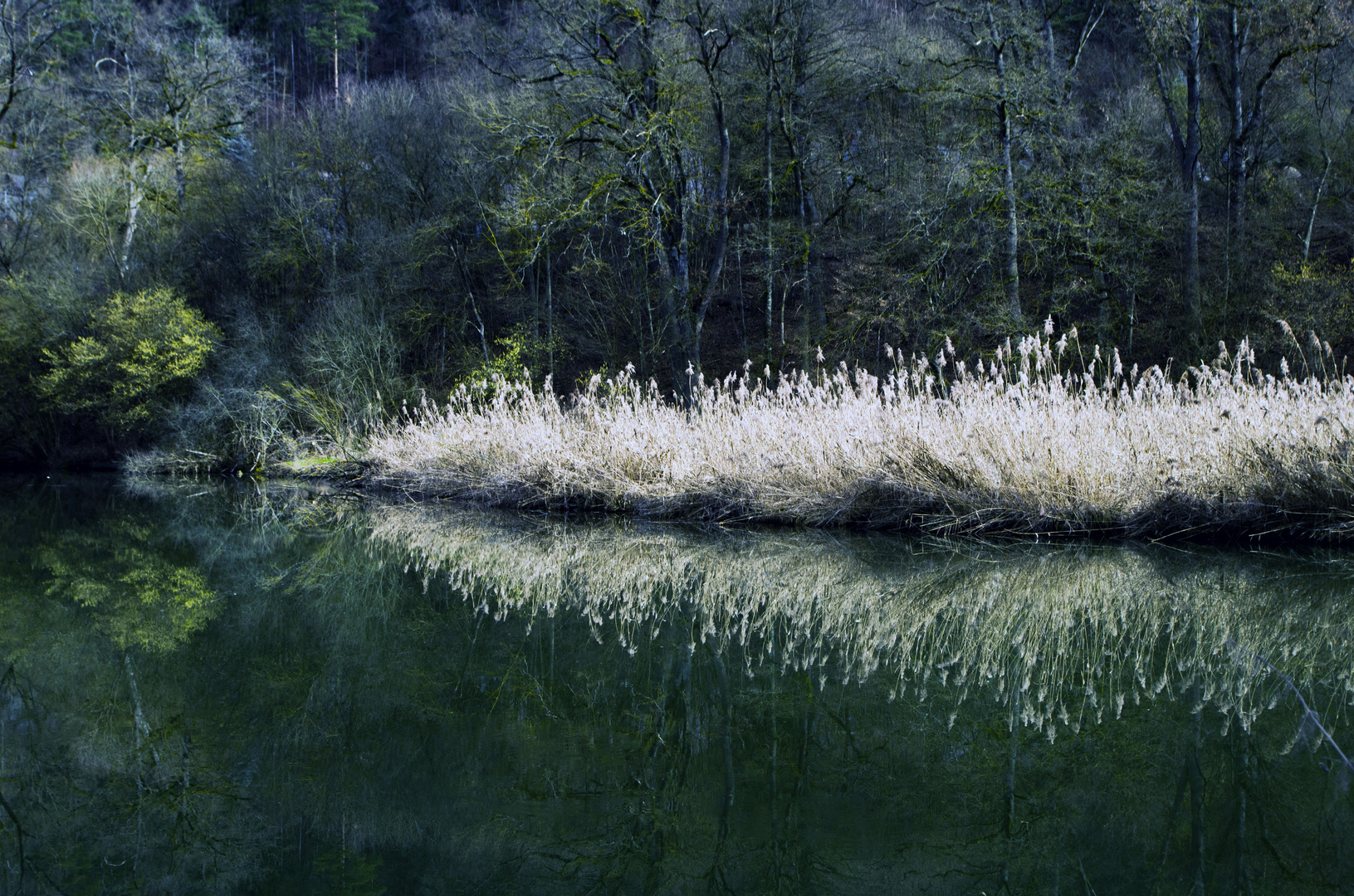 Wasserspiegelung in der Altmühl