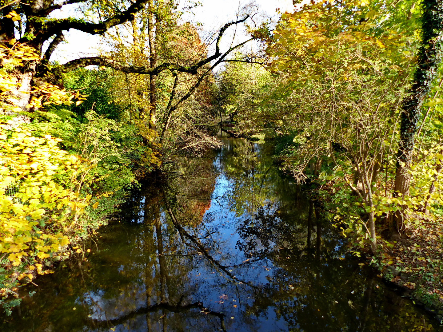 Wasserspiegelung in der Schwalm 