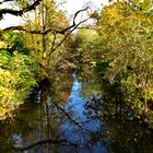 Wasserspiegelung in der Schwalm 