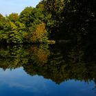 Wasserspiegelung in Herbstfarben, Biggesee