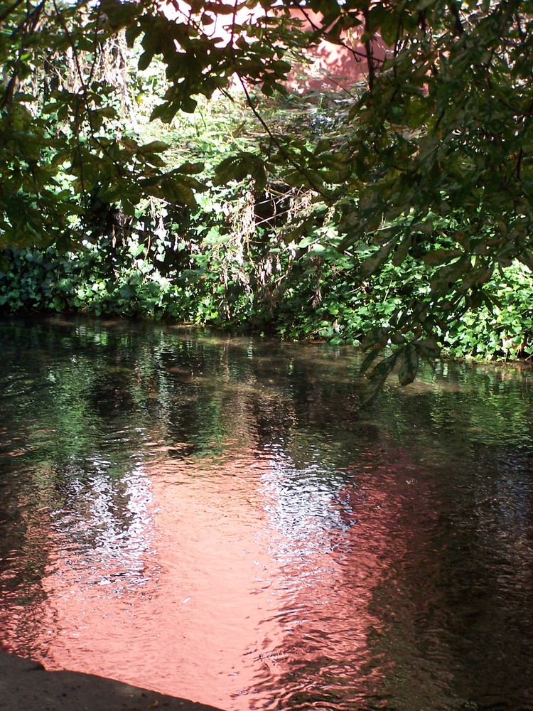 Wasserspiegelung in Rot