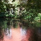 Wasserspiegelung in Rot