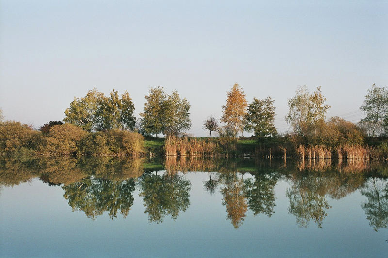 Wasserspiegelung Kiesgrube