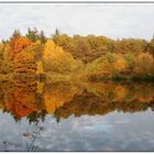 Wasserspiegelung mit Herbstfarben