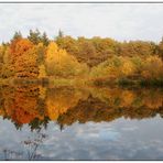 Wasserspiegelung mit Herbstfarben