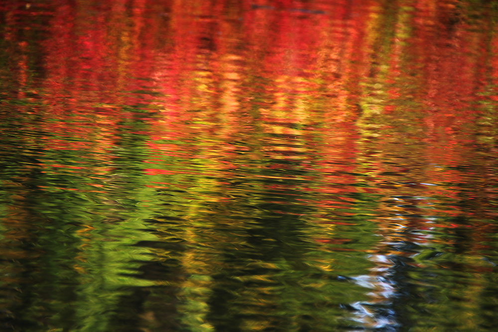 Wasserspiegelung mit Herbstfarben