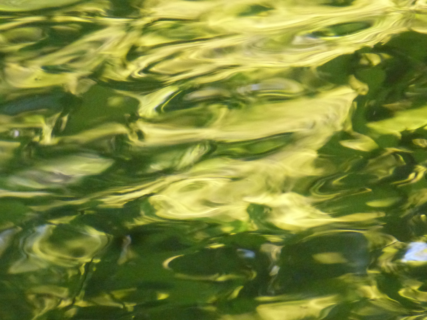 Wasserspiegelung mit Wellen