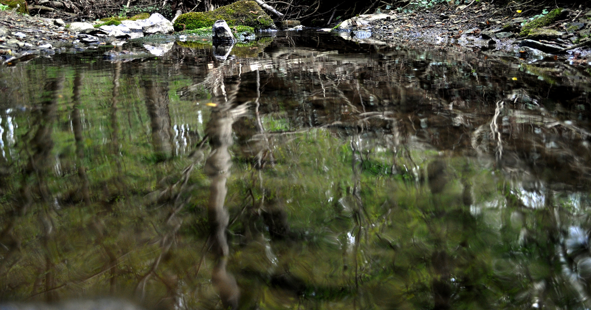 Wasserspiegelungen