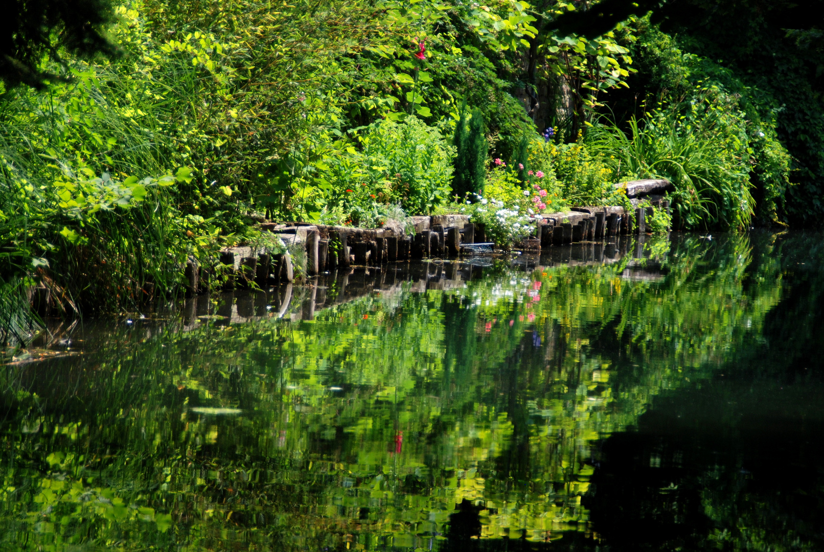 Wasserspiegelungen