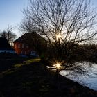 Wasserspiegelungen am Mühlteich