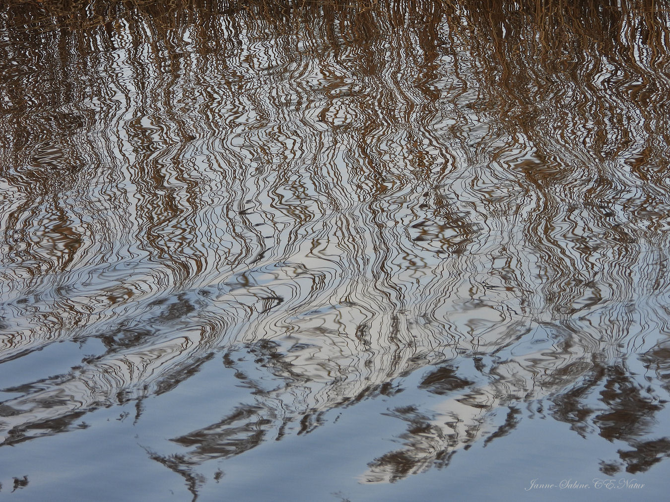 Wasserspiegelungen...