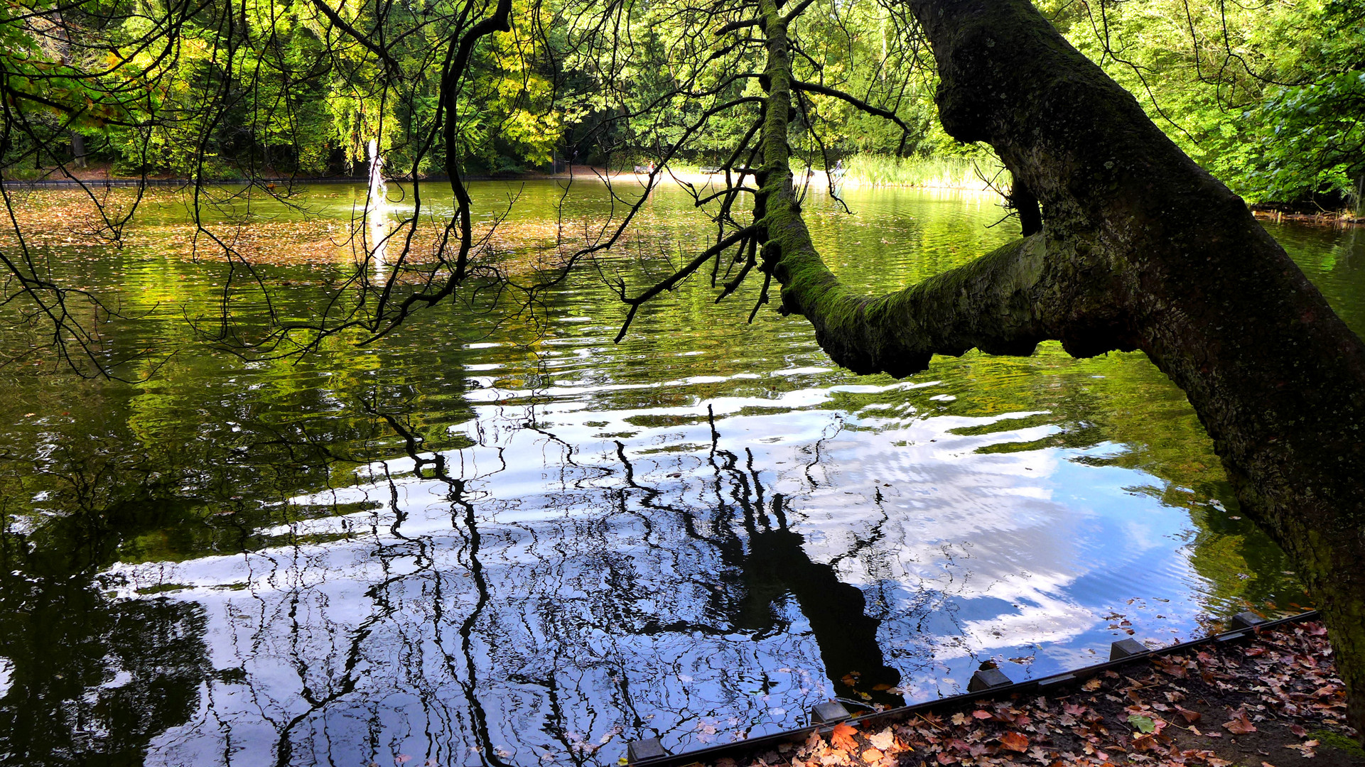 Wasserspiegelungen