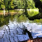 Wasserspiegelungen