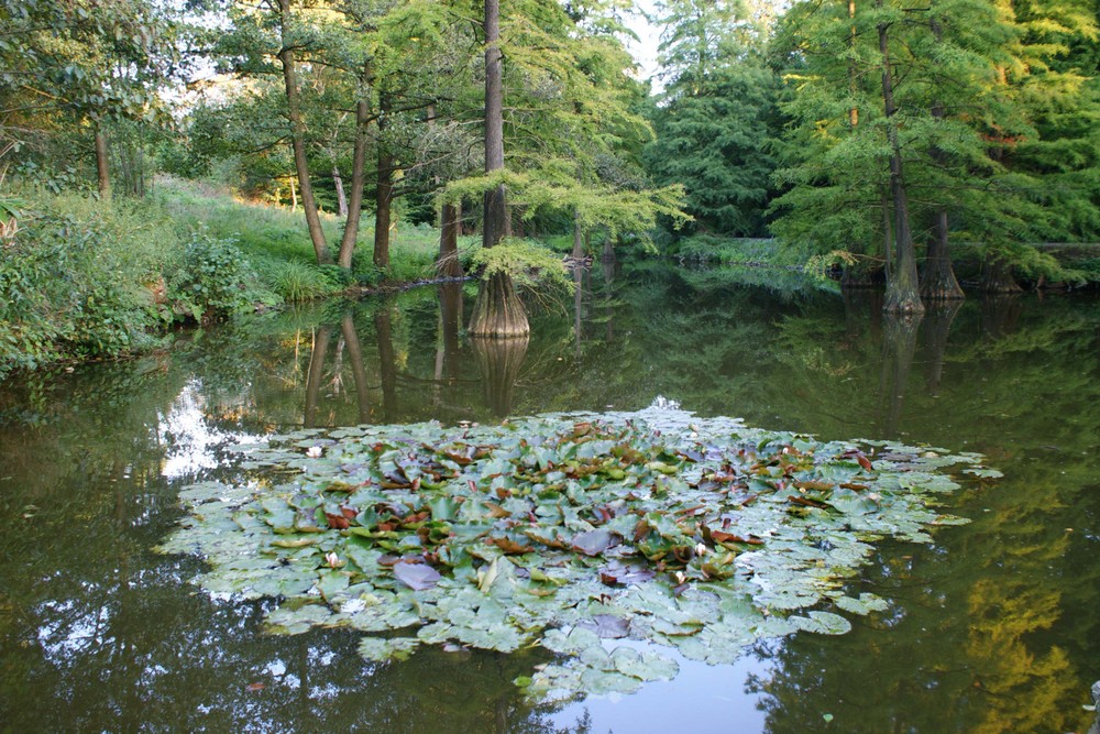 Wasserspiegelungen