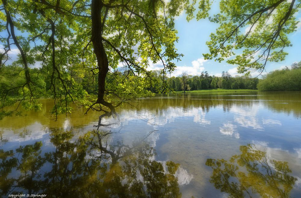 Wasserspiegelungen im Schlosspark Nymphenburg......