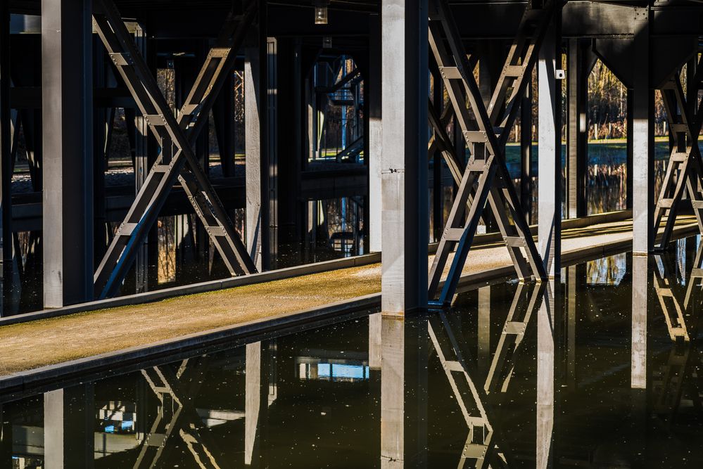 Wasserspiegelungen in den Wassergärten Landsweiler-Reden