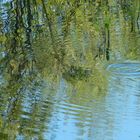 Wasserspiegelungen -Naturschutzgebiet In den Eichen (Weser)