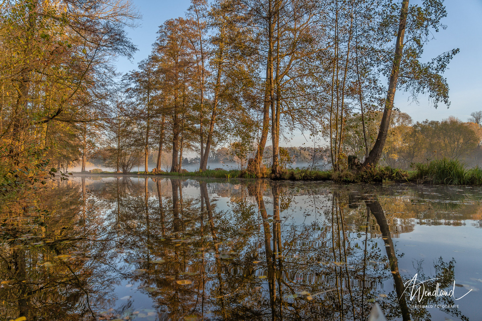 Wasserspieglung