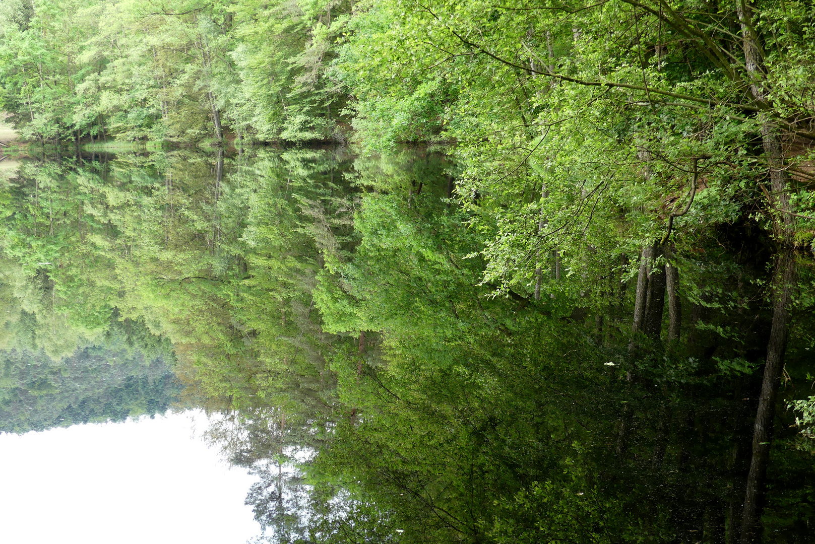 Wasserspieglungen im Rohrwoog