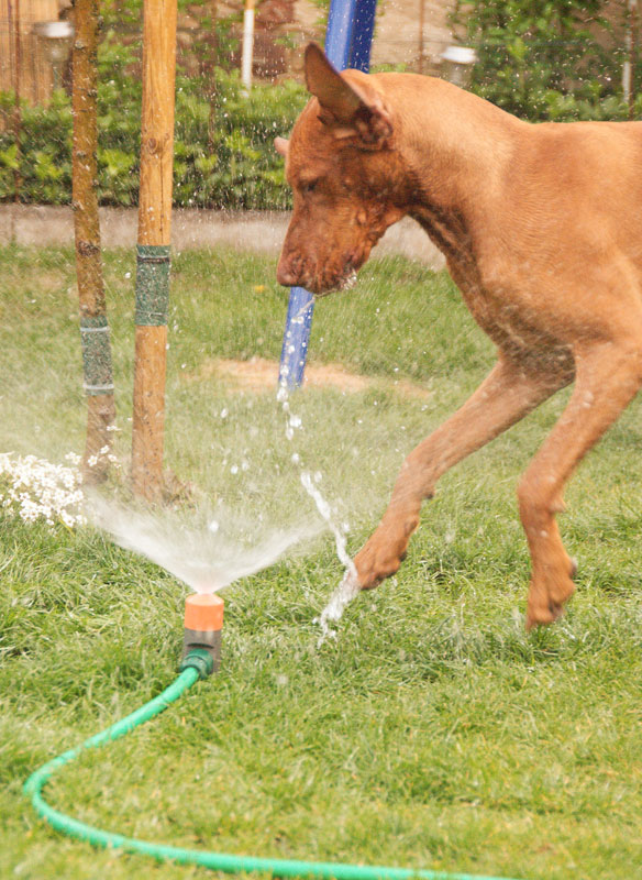 -Wasserspiel-1-