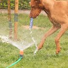 -Wasserspiel-1-