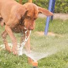 -Wasserspiel-2-